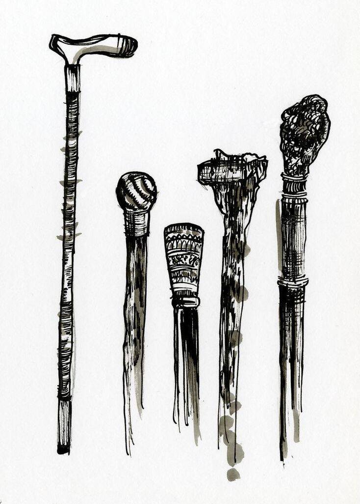 A walking stick photographed as a simple mobility aid
