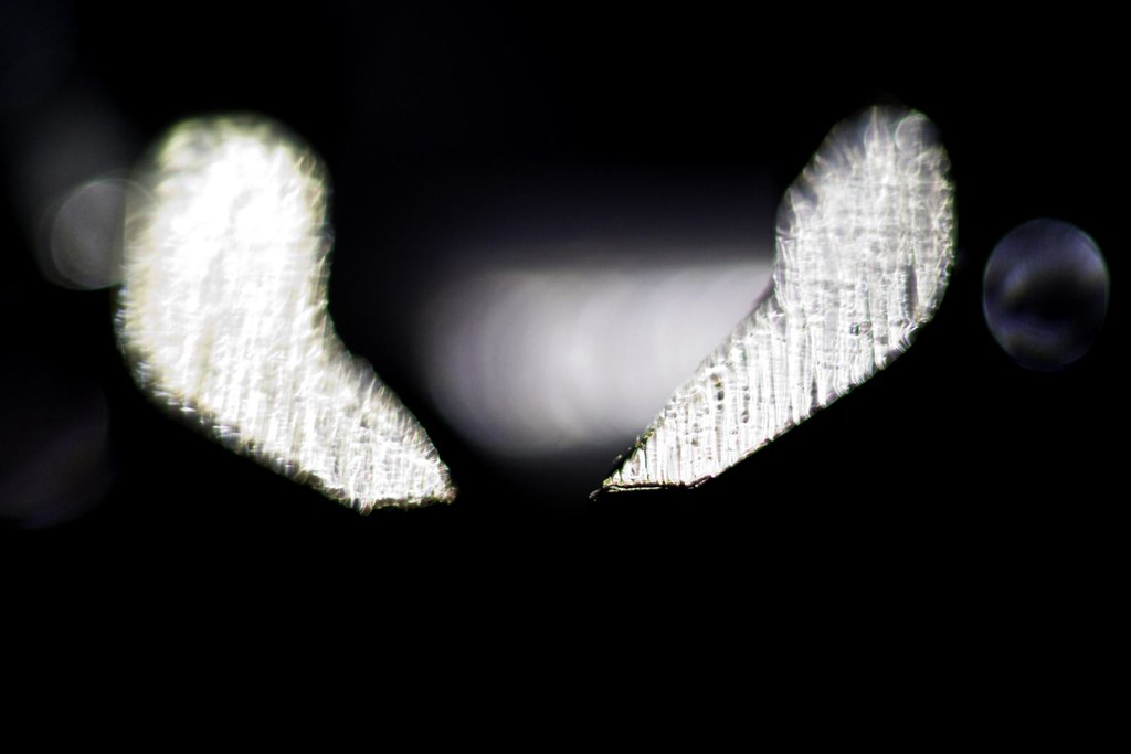 A nail clipper photographed close up