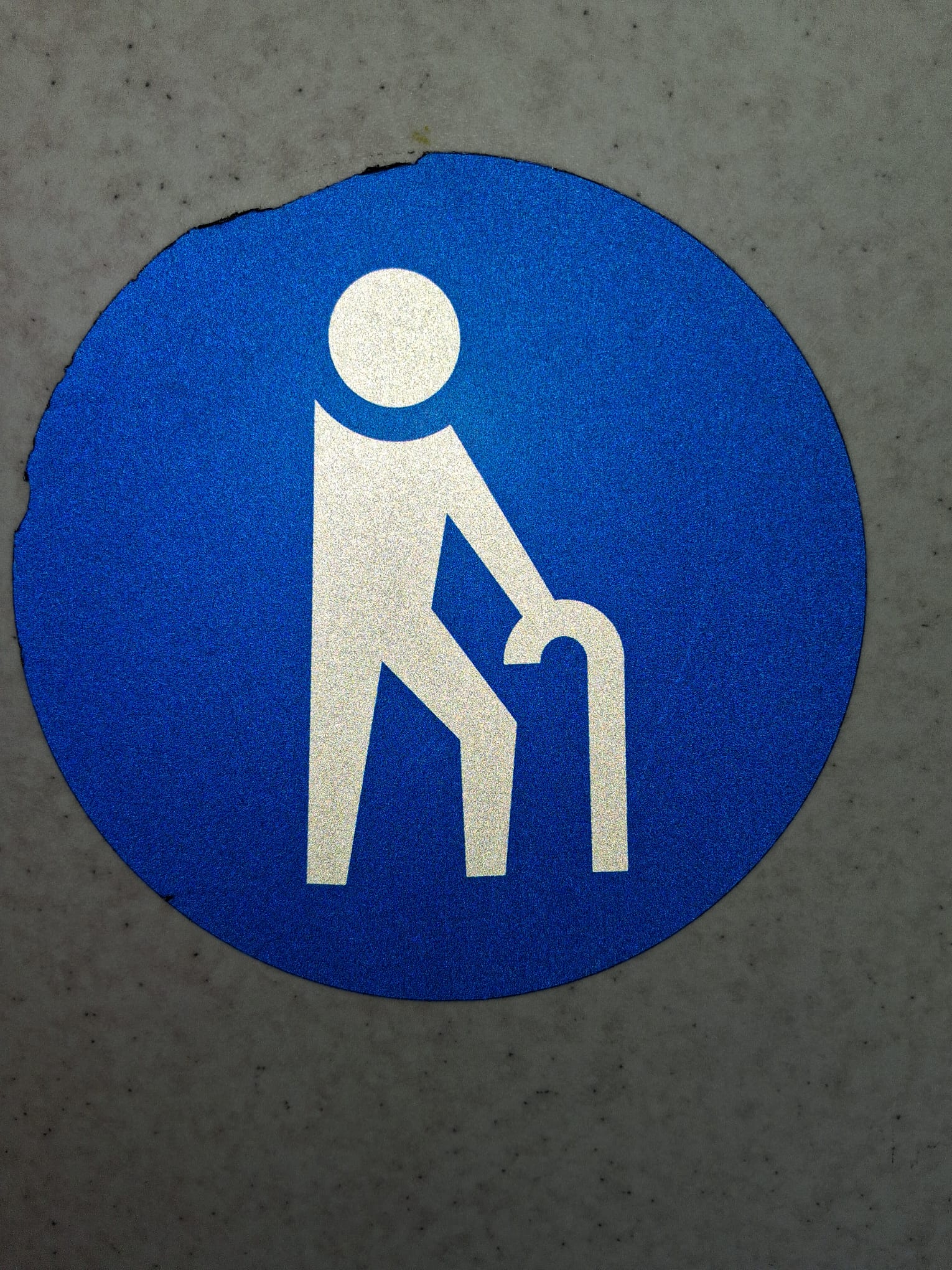 Older adults walking outside with everyday mobility needs