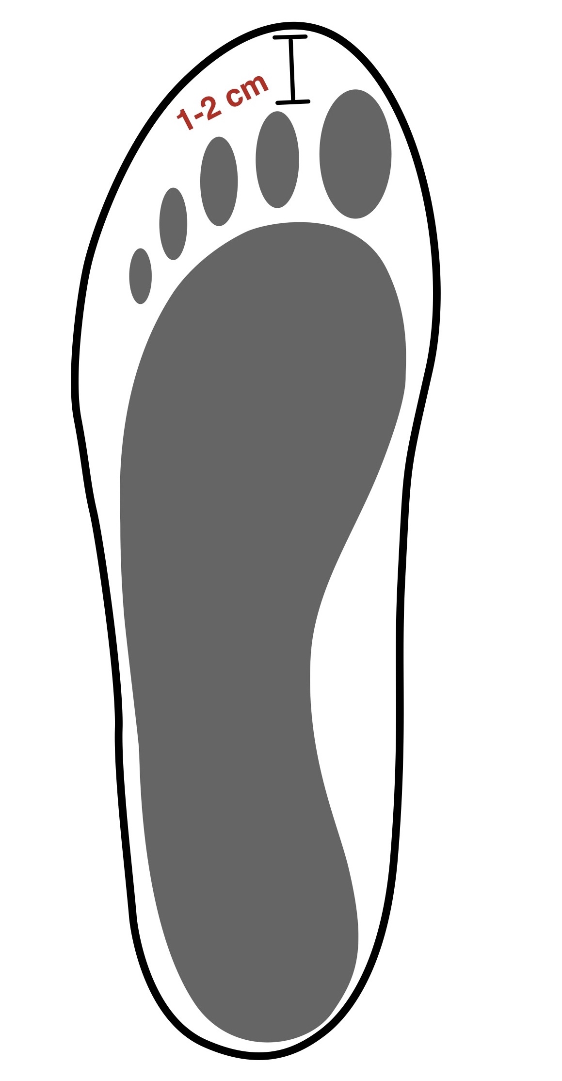 A shoe size check showing foot measurement context