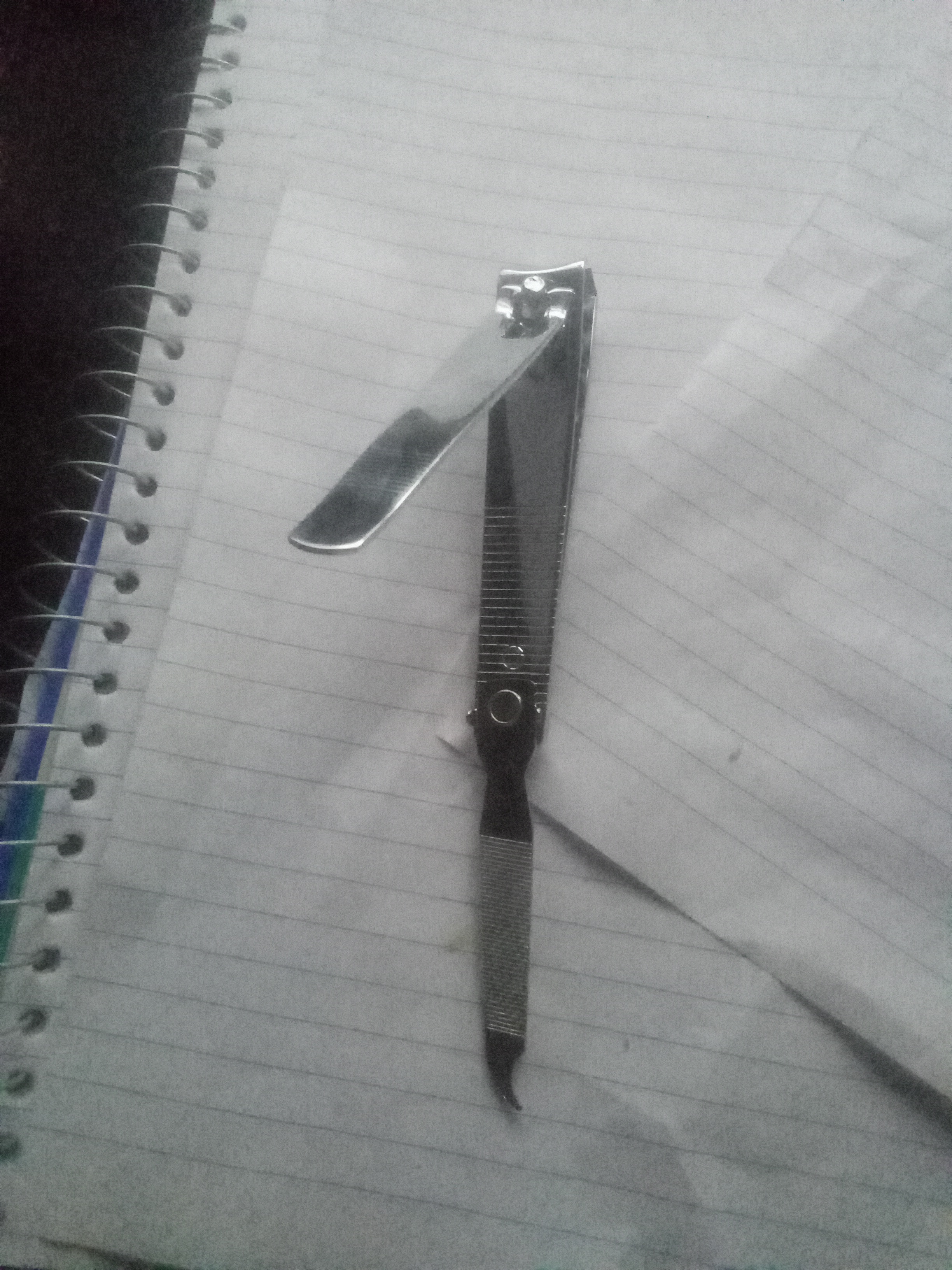 A close photograph of a toenail clipper