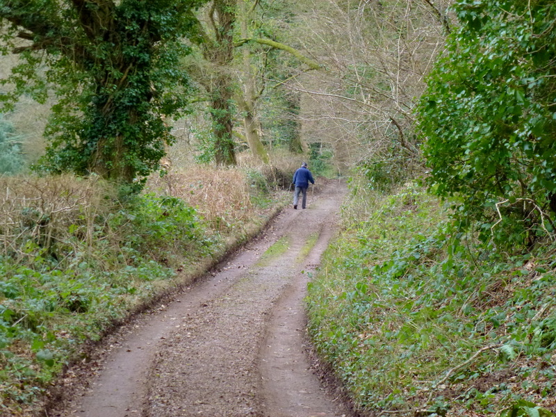 An older person walking outdoors with support